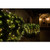 Vickerman X4G2811 150Lt 2'x8' LED WarmWht/GW WideAngle Net