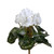 Vickerman FL170711 11" White Cyclamen Bush