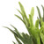 Vickerman FA170301 13" Staghorn Fern Bush Frosted-Green