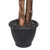 Vickerman TBU0640 4ft Artificial Ming Aralia Bush