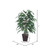 Vickerman TBU2840-0414 4ft Artificial Mango Bush in Willow Pot