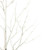 Vickerman X221080 8' White Birch Twig Tree LED 160WW