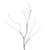 Vickerman X221518 6' White Birch Twig Garland 48WW LED B/O