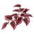 Vickerman FB170701-3 12" Red Begonia Hanging Bush 3Pk