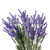 Vickerman FE223119 19" Artificial Purple Lavender Bush 2/pk