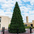 Vickerman G194212MU 12' x 105" Grand Teton Frame LED 3450MU