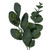Vickerman FK236472 Vickerman - 6 ft Green Eucalyptus Christmas Garland - Unlit 