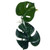 Vickerman FR236671 Vickerman - 71 in. Green Monstera Christmas Garland - Unlit 