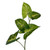 Vickerman FTL250372UV Vickerman - 72 in. Green Syngonium Christmas Garland - Unlit 