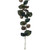 Vickerman FTL250772UV Vickerman - 72 in. Green Peperomia Piccolo Christmas Garland - Unlit 