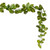 FTL251172UV Vickerman - 72 in. Green Pothos Christmas Garland - Unlit