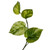 Vickerman FTL251172UV Vickerman - 72 in. Green Pothos Christmas Garland - Unlit 