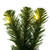 Vickerman G237015LED Vickerman - 9 ft Green Christmas Garland - Pre-Lit LED 