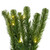 Vickerman G237025LED Vickerman - 9 ft Green Christmas Garland - Pre-Lit LED 