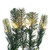 Vickerman G254416LEDCC Vickerman - 9 ft Green Christmas Garland - Pre-Lit LED 