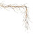 Vickerman X250706LED Vickerman - 6 ft Champagne Christmas Garland - Pre-Lit LED 