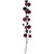 N250119 Vickerman - 6 ft Wine Christmas Garland - Unlit