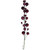 Vickerman N250119 Vickerman - 6 ft Wine Christmas Garland - Unlit 