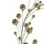 Vickerman N251138 Vickerman - 6 ft Champagne Christmas Garland - Unlit 
