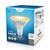  Euri Lighting EP38-20W6021e LED PAR38 Light Bulb 