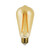  Euri Lighting VST19-3020ea LED Vintage Filament Light Bulb 