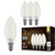  Euri Lighting VB10-3020ef-4 LED Filament Light Bulb 