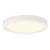 Westinghouse Lighting Westinghouse 6111900 11 Watt LED Indoor Flush Mount Ceiling Fixture with Color Temperature Selection 