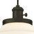 Westinghouse Lighting Westinghouse 6346500 Indoor Mini Pendant 