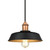 Westinghouse Lighting Westinghouse 6309000 Ida Indoor Pendant 