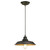 Westinghouse Lighting Westinghouse 6344700 Iron Hill Indoor Pendant 