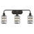 Westinghouse Lighting Westinghouse 6337900 Sophie Three-Light Indoor Wall Fixture 