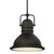 Westinghouse Lighting Westinghouse 63087B Boswell LED Indoor Pendant 