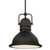 Westinghouse Lighting Westinghouse 63087A Boswell LED Indoor Pendant 