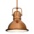 Westinghouse Lighting Westinghouse 63084A Boswell LED Indoor Mini Pendant 
