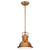 Westinghouse Lighting Westinghouse 63084A Boswell LED Indoor Mini Pendant 