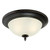 Westinghouse Lighting Westinghouse 6304800 Harwell Two-Light Indoor Flush Mount Ceiling Fixture 