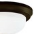 Westinghouse Lighting Westinghouse 6429100 Two-Light Indoor Flush-Mount Ceiling Fixture 
