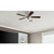 Westinghouse Lighting Westinghouse 7231900 Contempra Trio 42-Inch Indoor Ceiling Fan with Dimmable LED Light Fixture 