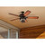 Westinghouse Lighting Westinghouse 7233400 Brentford 52-Inch Indoor/Outdoor Ceiling Fan with Dimmable LED Light Fixture 