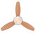Westinghouse Lighting Westinghouse 7221600 Alloy 42-Inch Indoor Ceiling Fan with LED Light Fixture 