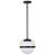 Satco 60-7773 Versatile Style Compact Decor Pendant Light