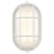 Satco 62-1390 Energy-Saving White Outdoor Wall Mount Light