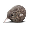Kiwi EUGY2