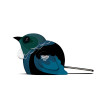 Tui EUGY2