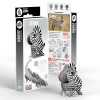 Zebra EUGY2