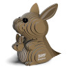 Kangaroo EUGY2