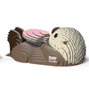 Sea Otter EUGY2