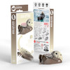 Sea Otter EUGY2