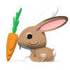 Rabbit EUGY2