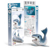 Leopard Seal EUGY2